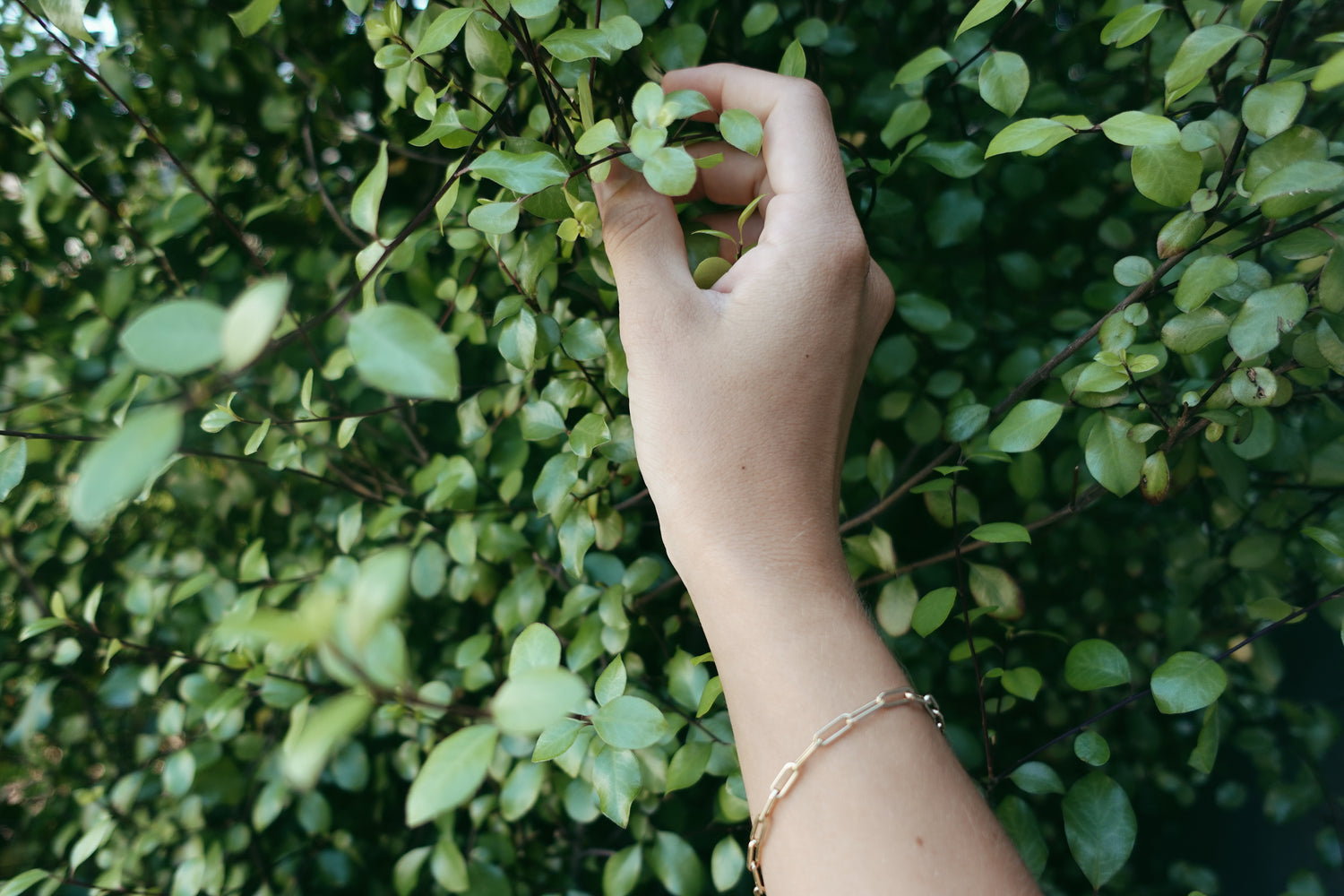 14K Gold Chunky Paper Clip Bracelet